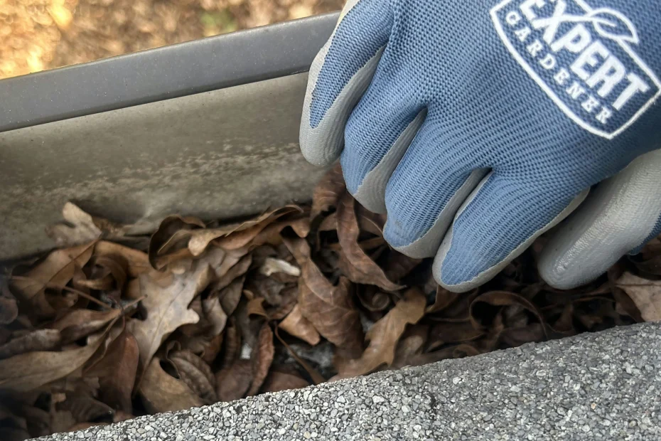 Gutter Cleaning Hilliard