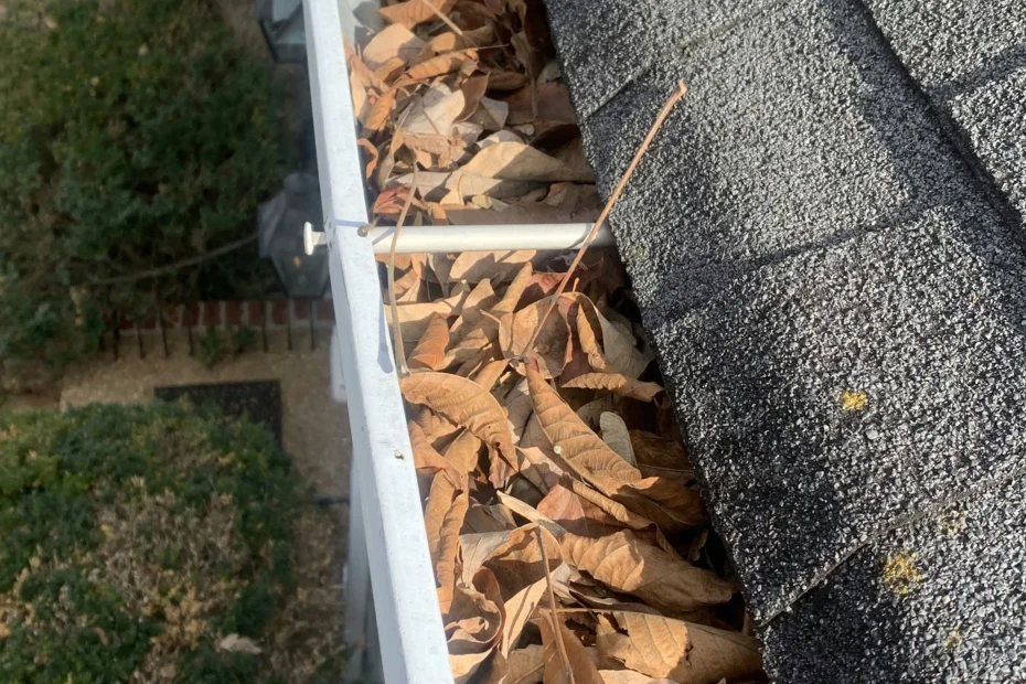 Gutter Cleaning Hilliard